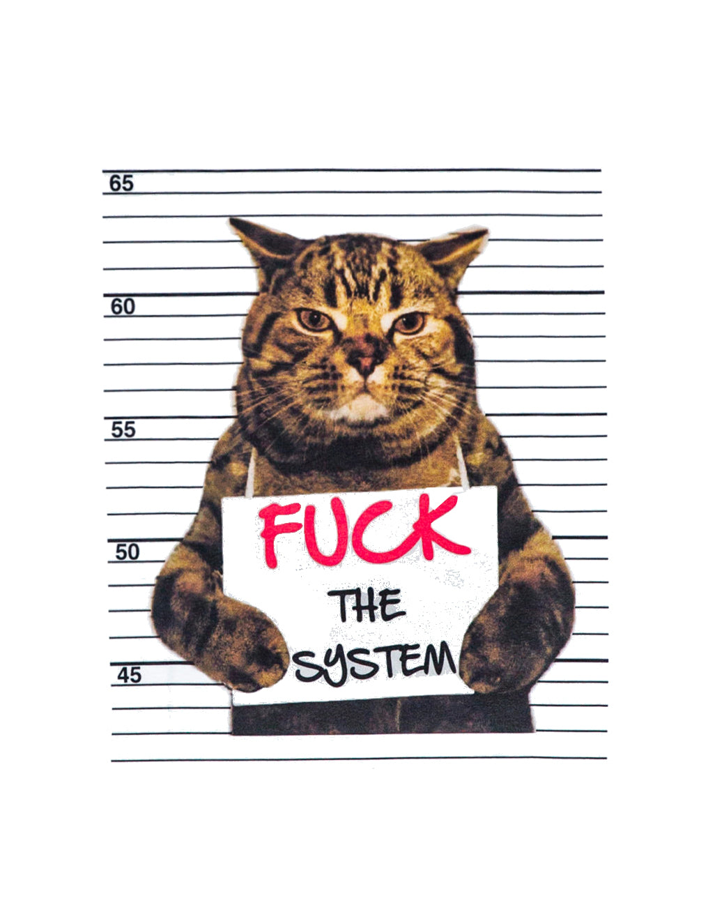 T-Shirt Fuck the system womens